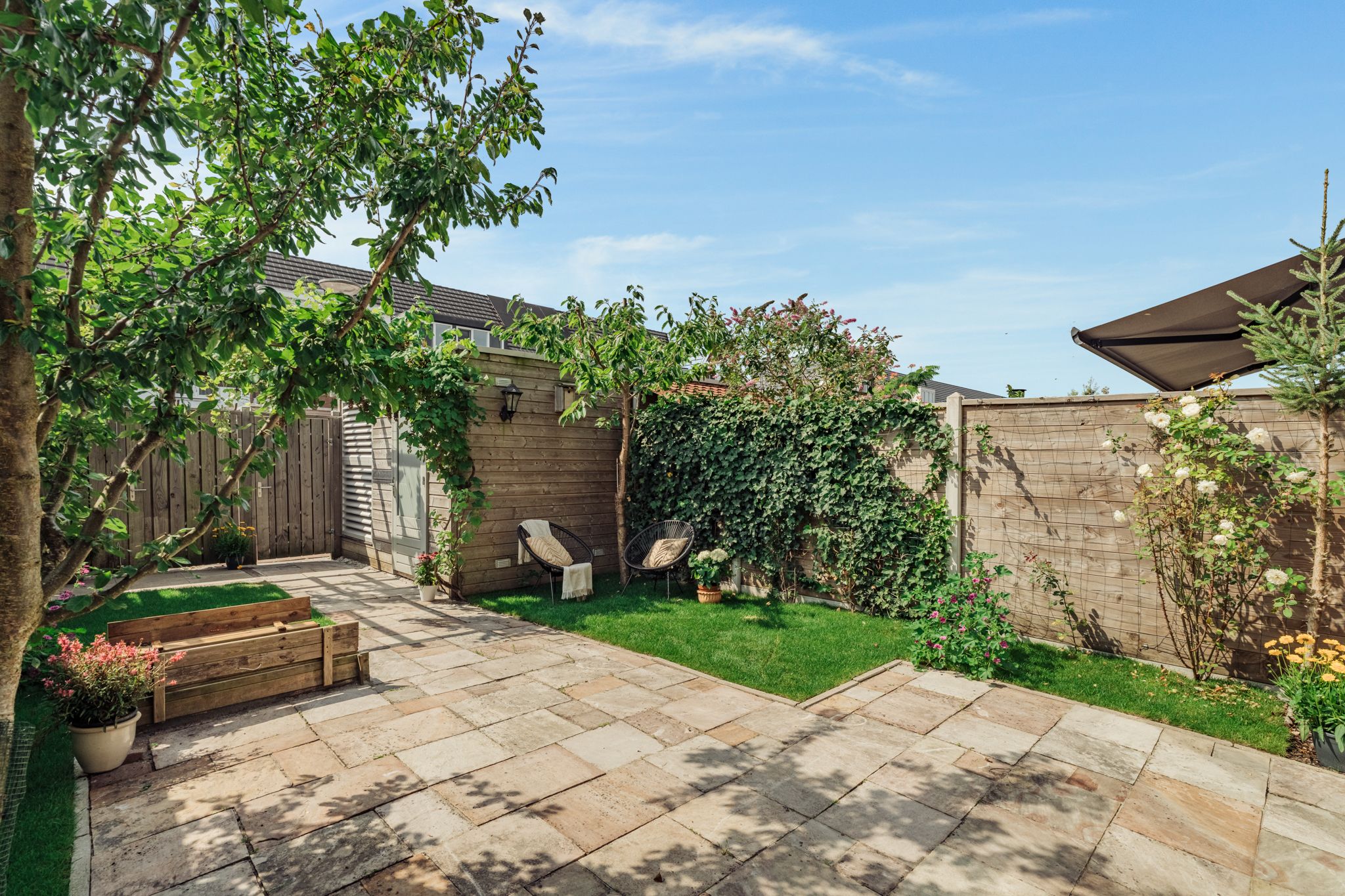 Foto 9 van Knobbelzwaan 77