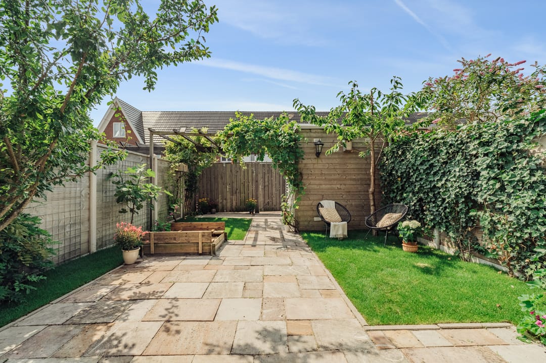 Foto 11 van Knobbelzwaan 77