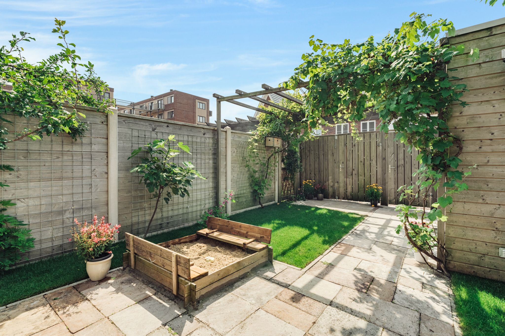 Foto 12 van Knobbelzwaan 77