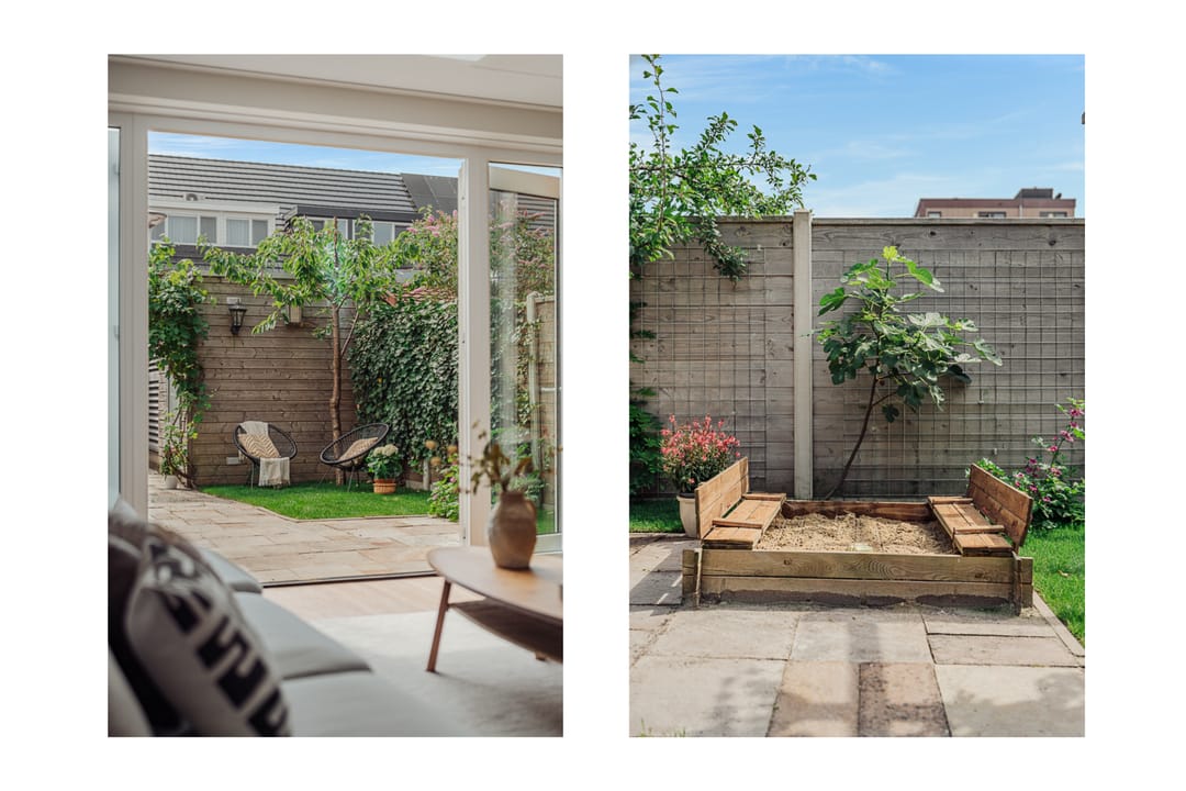 Foto 13 van Knobbelzwaan 77