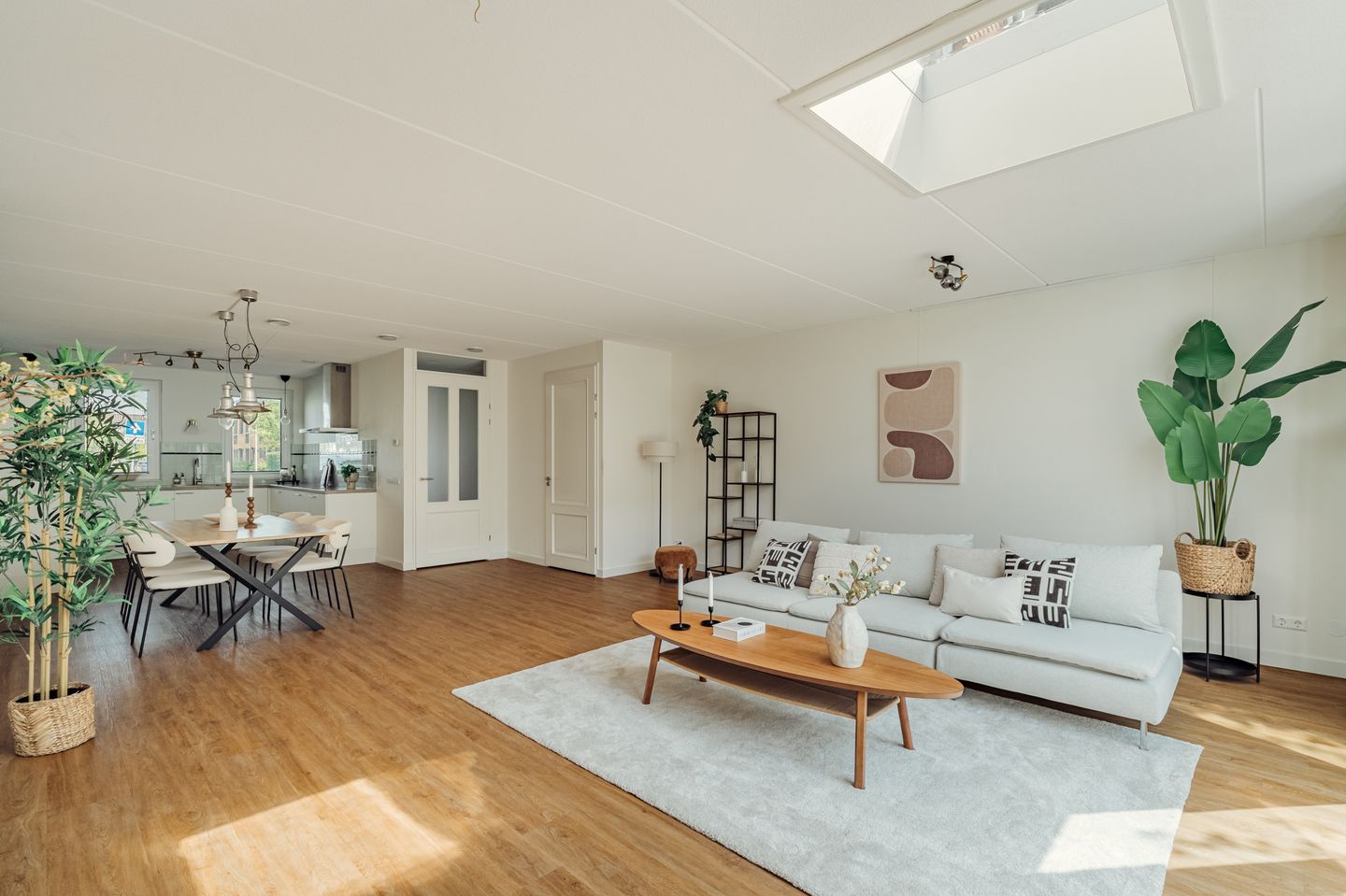 Foto 14 van Knobbelzwaan 77