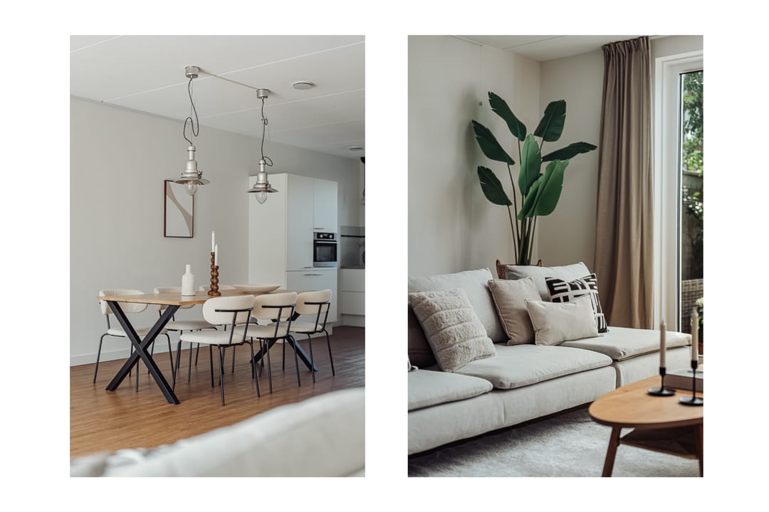 Foto 16 van Knobbelzwaan 77