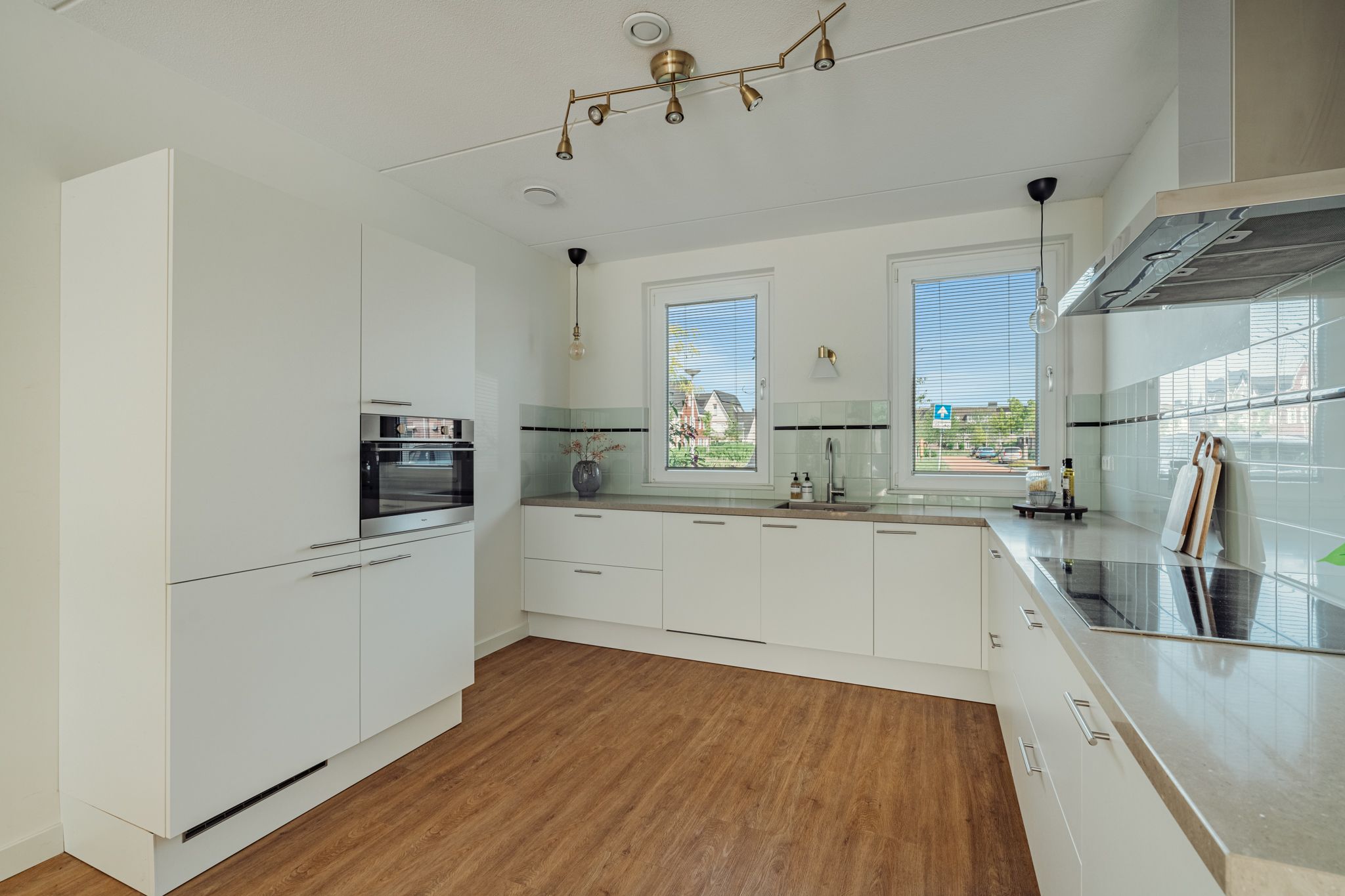 Foto 18 van Knobbelzwaan 77