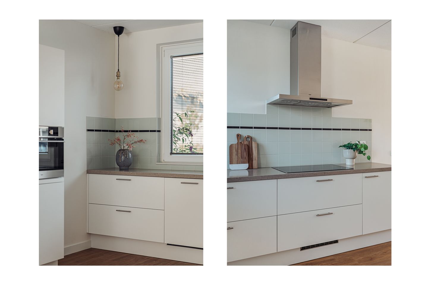 Foto 19 van Knobbelzwaan 77