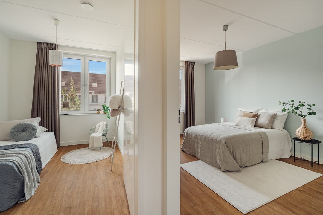 Foto 23 van Knobbelzwaan 77