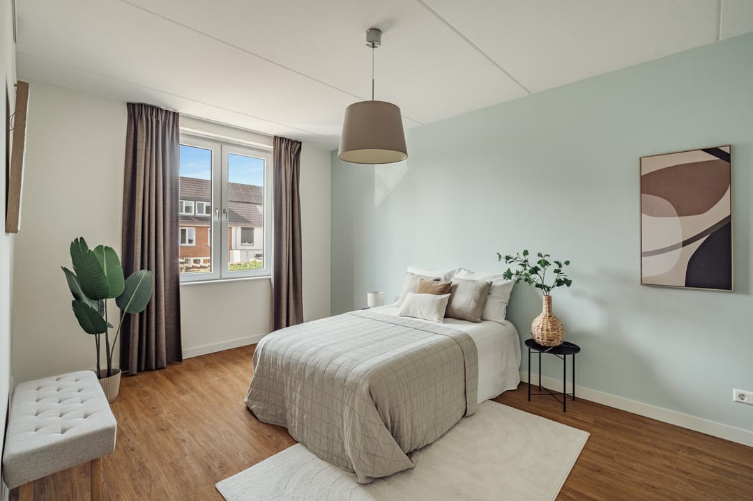 Foto 26 van Knobbelzwaan 77