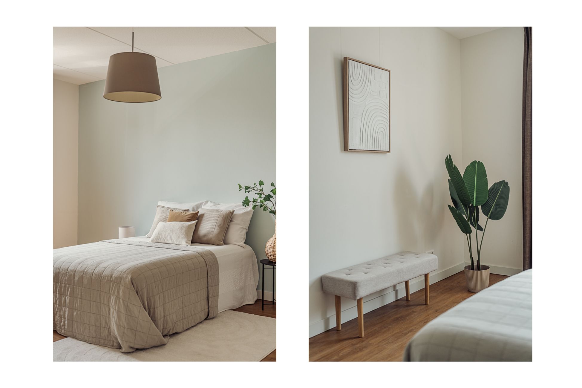 Foto 27 van Knobbelzwaan 77