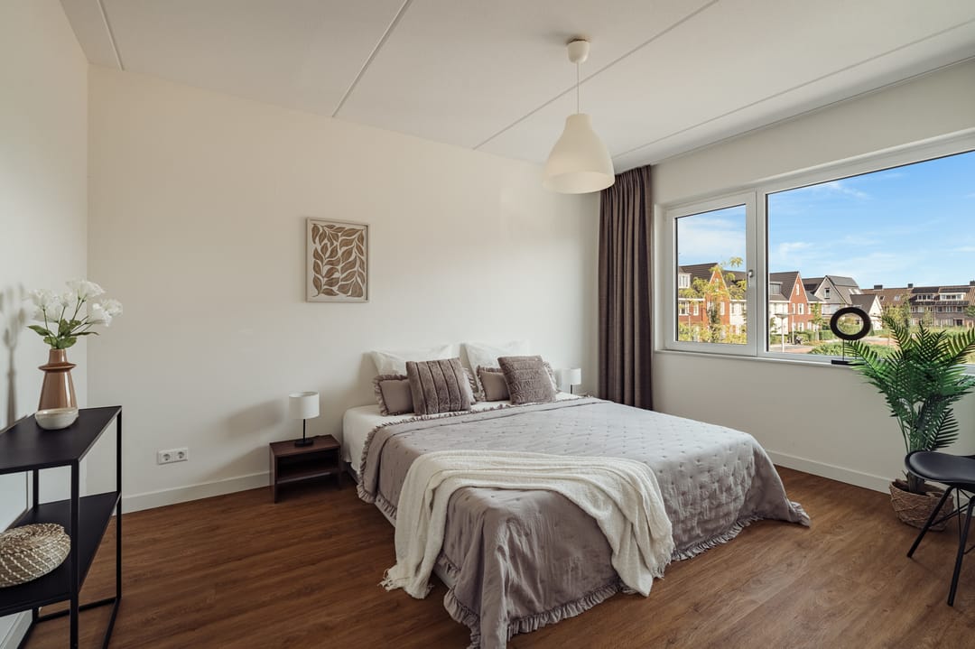 Foto 28 van Knobbelzwaan 77