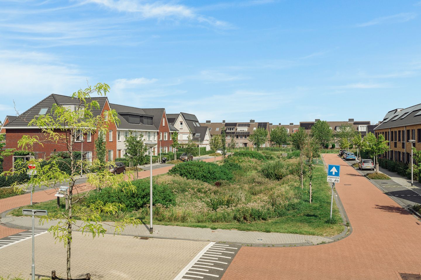 Foto 29 van Knobbelzwaan 77