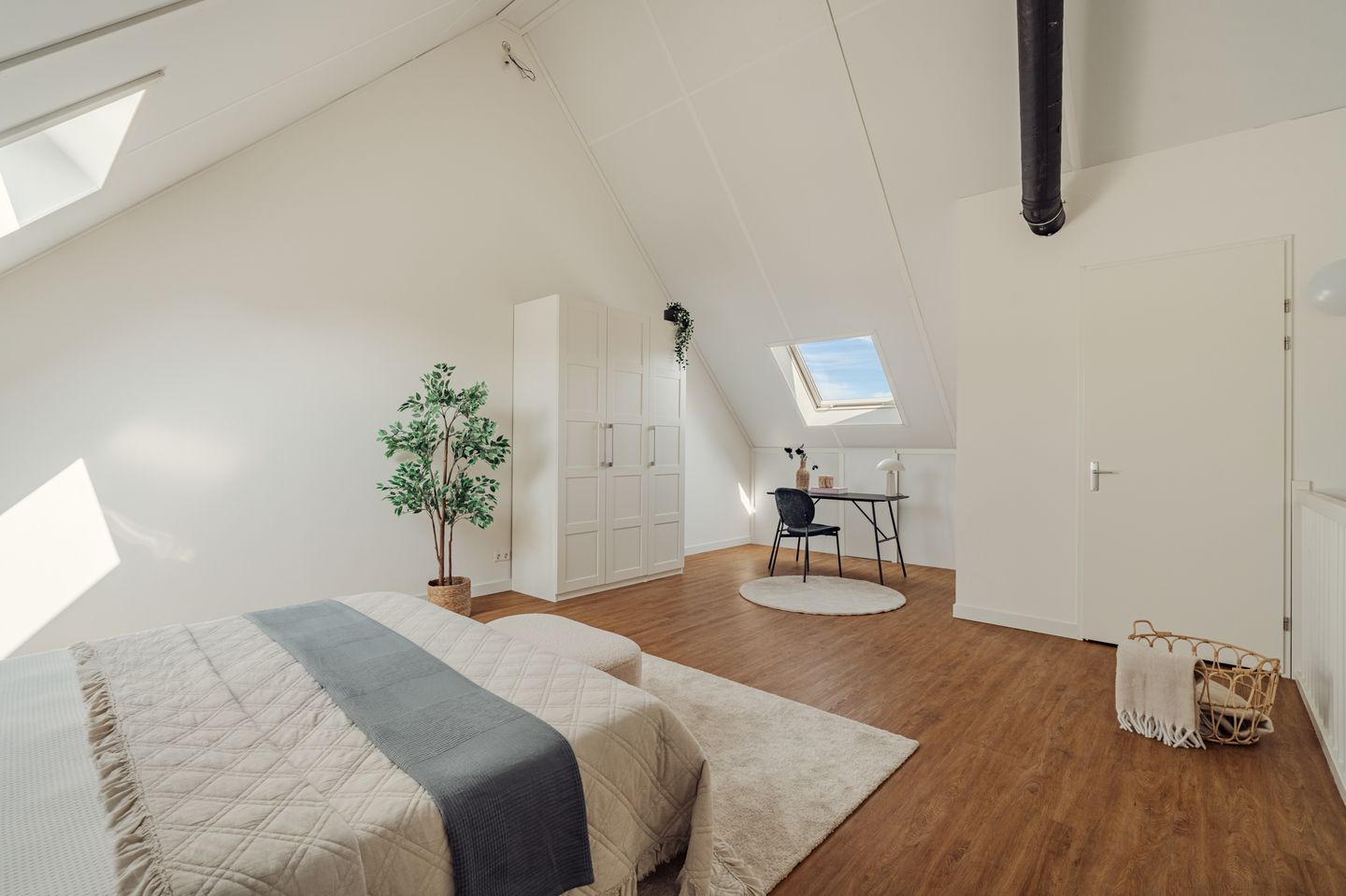 Foto 35 van Knobbelzwaan 77