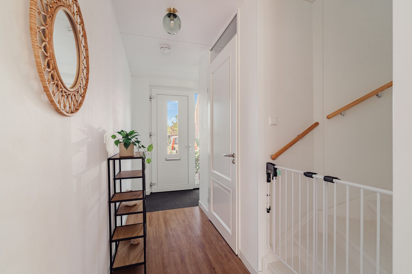 Foto 40 van Knobbelzwaan 77