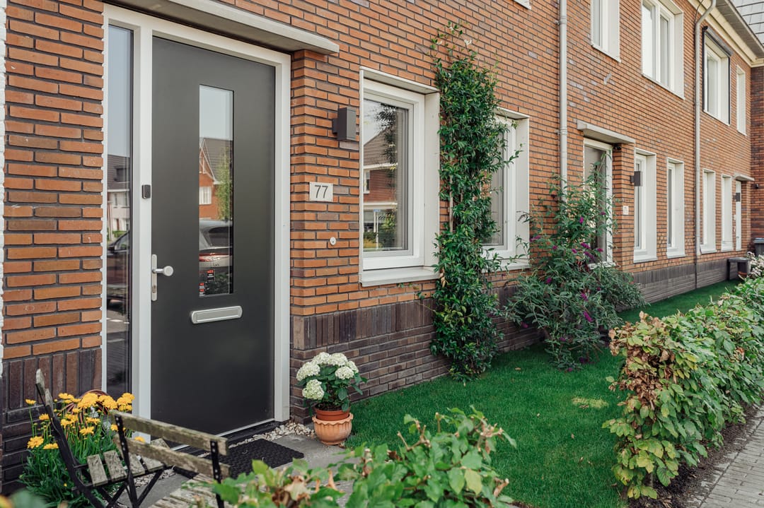 Foto 41 van Knobbelzwaan 77