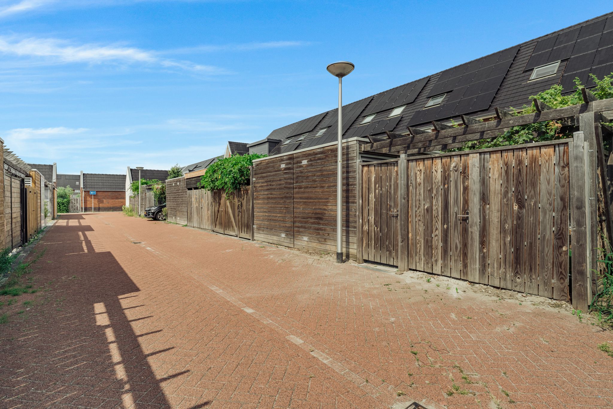 Foto 42 van Knobbelzwaan 77