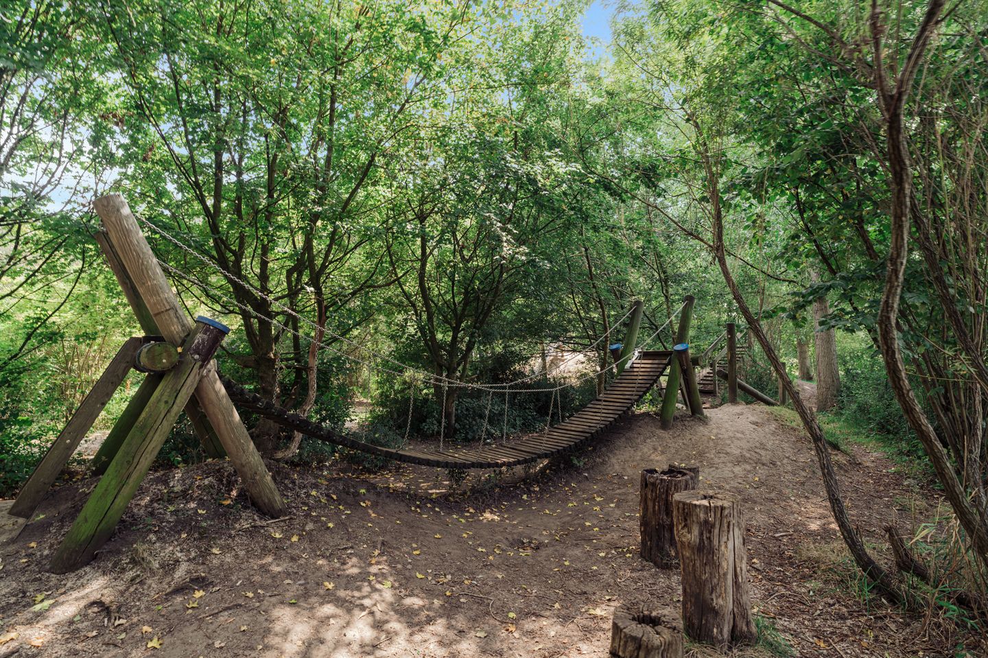 Foto 44 van Knobbelzwaan 77