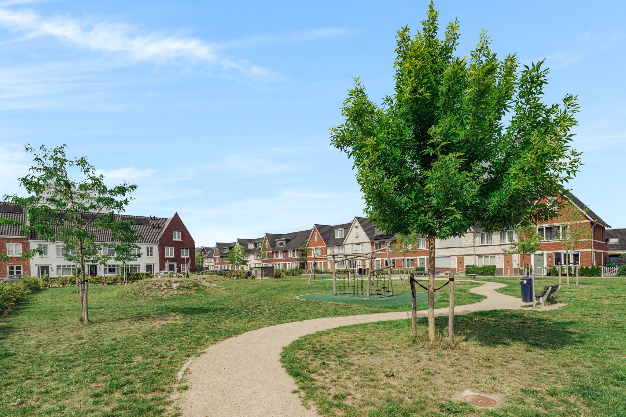 Foto 45 van Knobbelzwaan 77