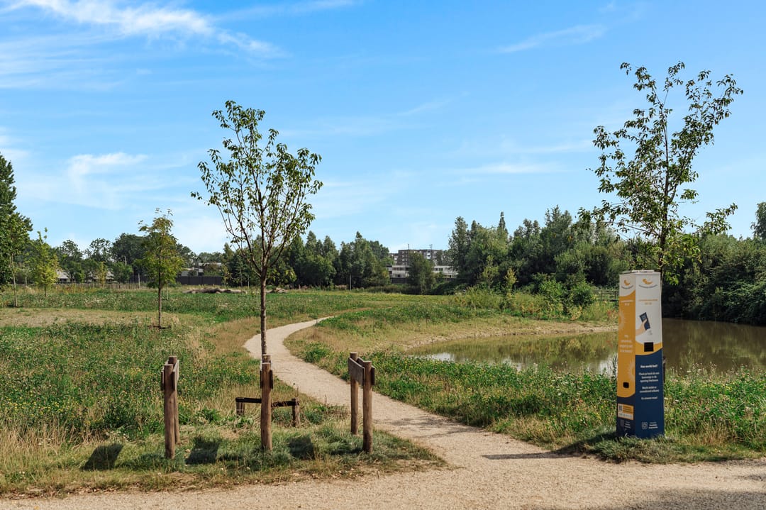 Foto 46 van Knobbelzwaan 77