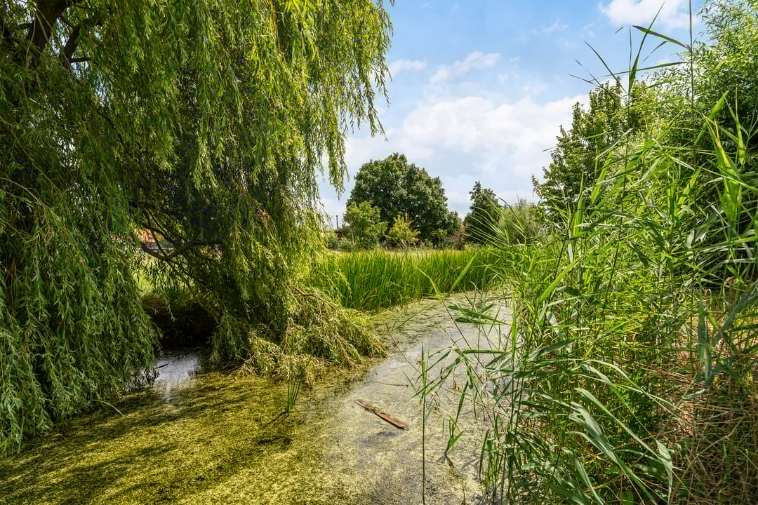 Foto 41 van Narderherne 3