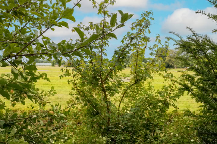 Foto 22 van Poortweide 20