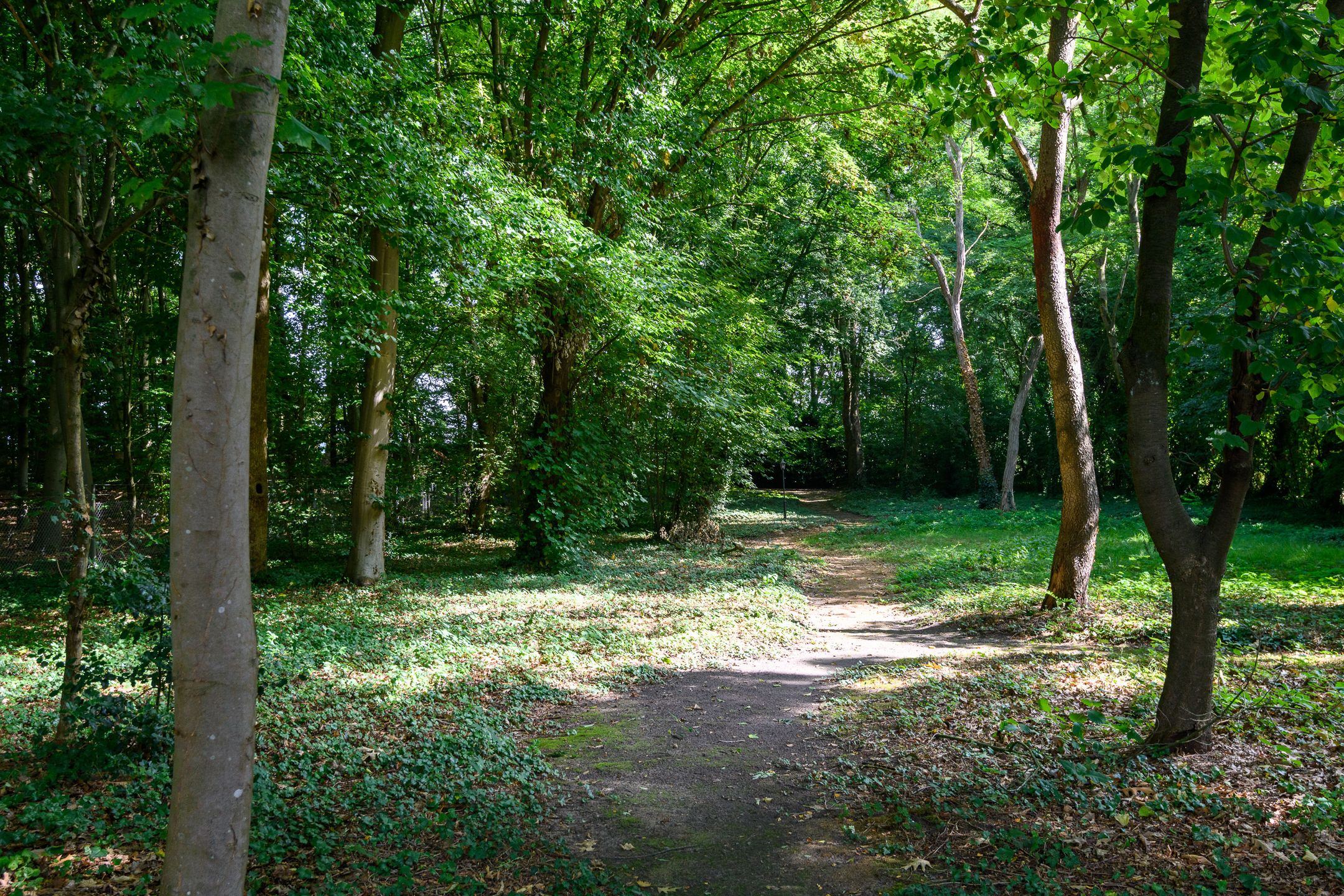 Foto 48 van Heikantseweg 31