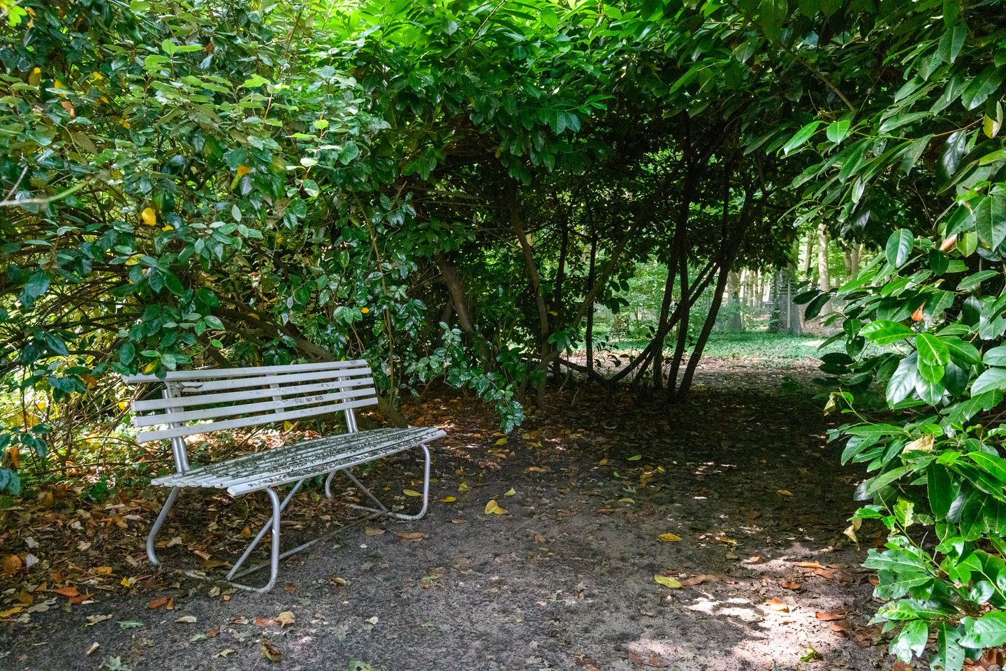 Foto 49 van Heikantseweg 31