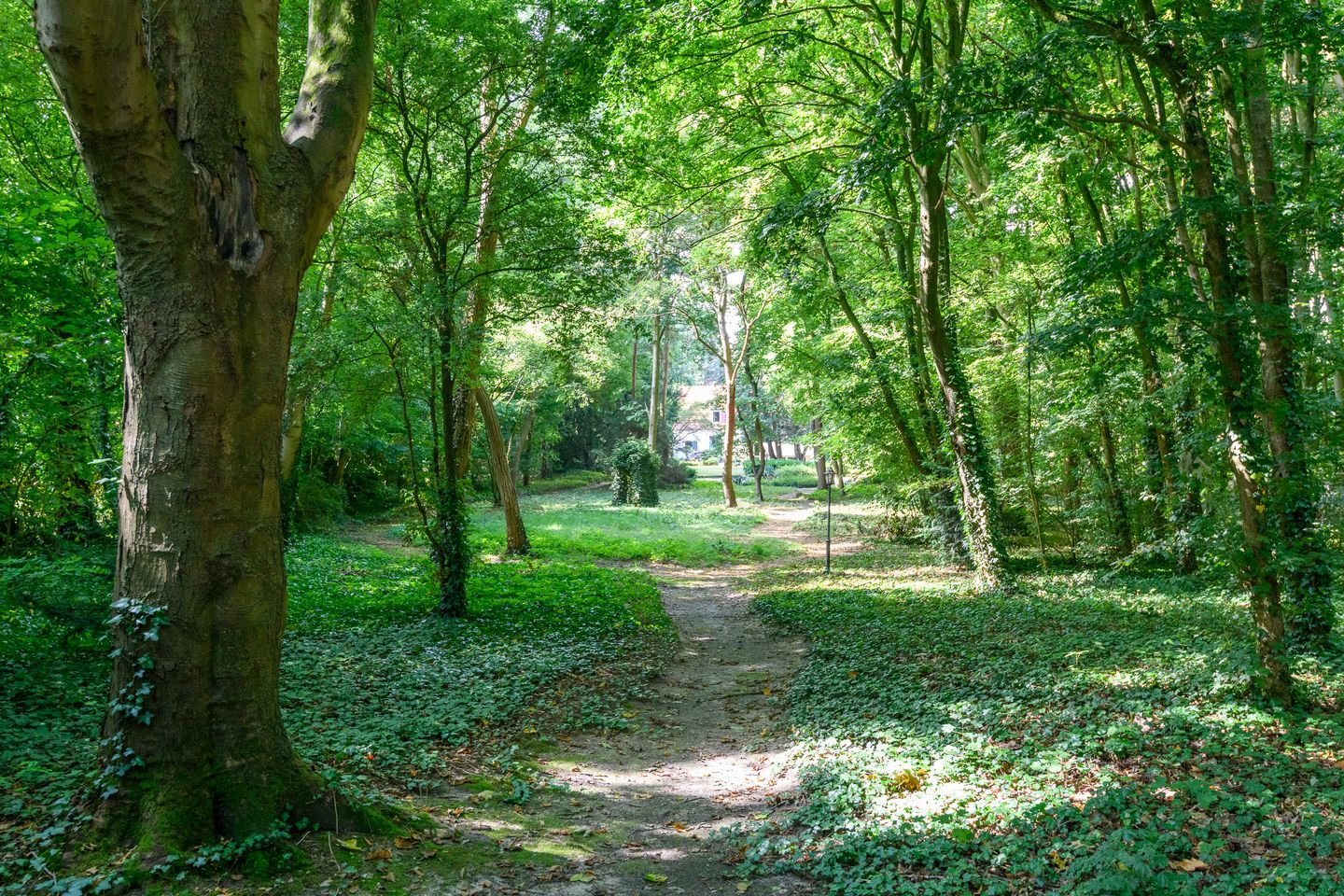 Foto 50 van Heikantseweg 31