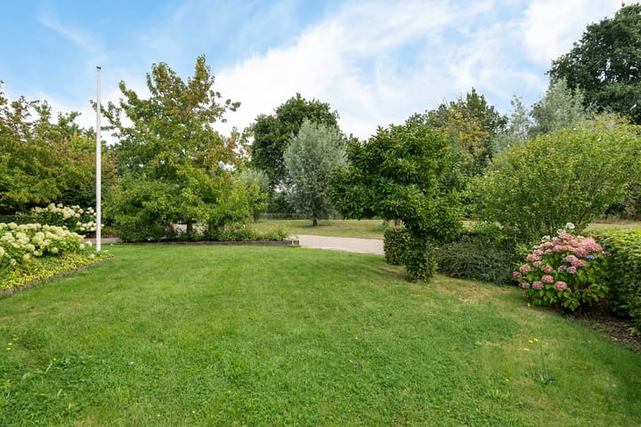 Foto 15 van Asserwijk 37