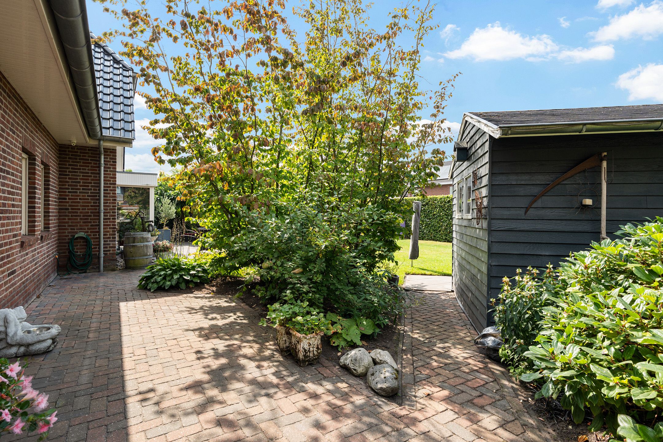 Foto 42 van Asserwijk 37