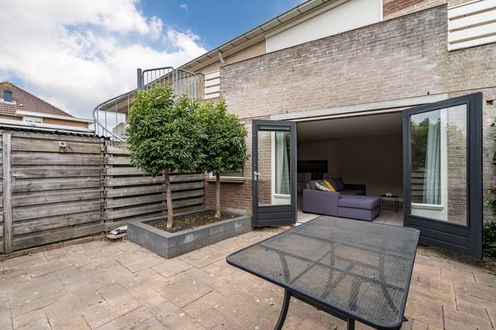 Foto 2 van Moerasandoorn 3