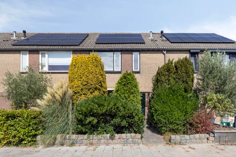 undefined main image