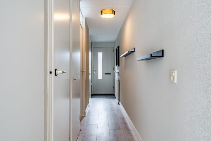 Foto 11 van Moerasandoorn 3