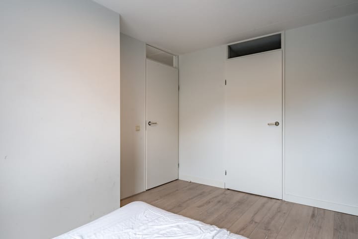 Foto 13 van Moerasandoorn 3