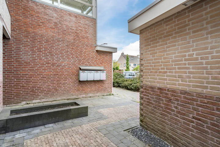 Foto 22 van Moerasandoorn 3