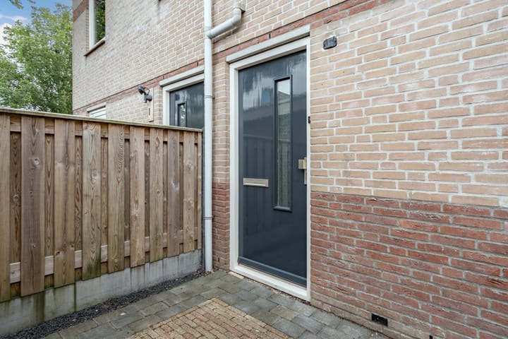 Foto 23 van Moerasandoorn 3