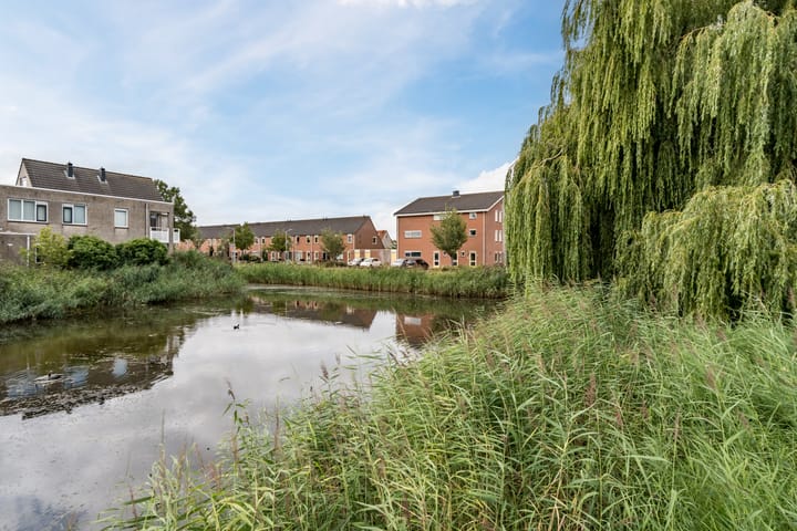 Foto 24 van Moerasandoorn 3