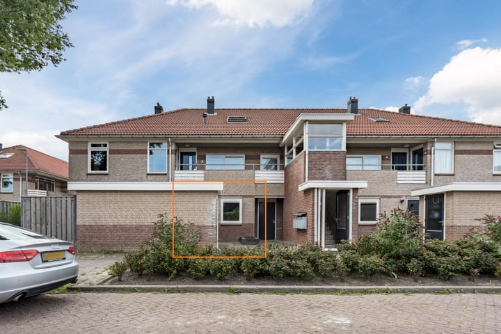 Foto 25 van Moerasandoorn 3