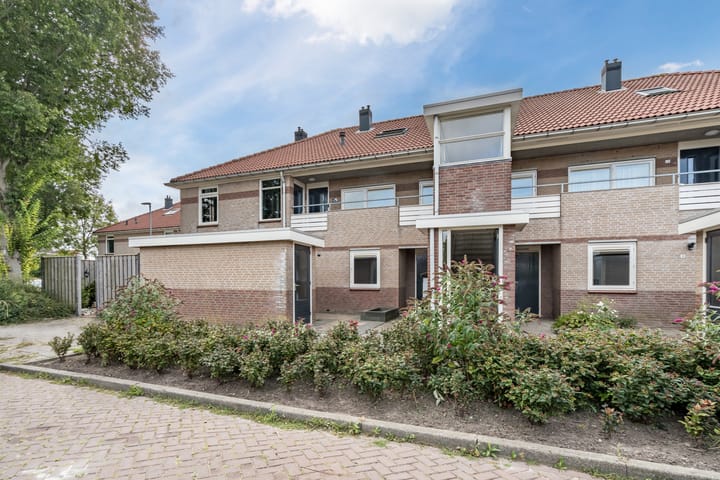 Foto 26 van Moerasandoorn 3