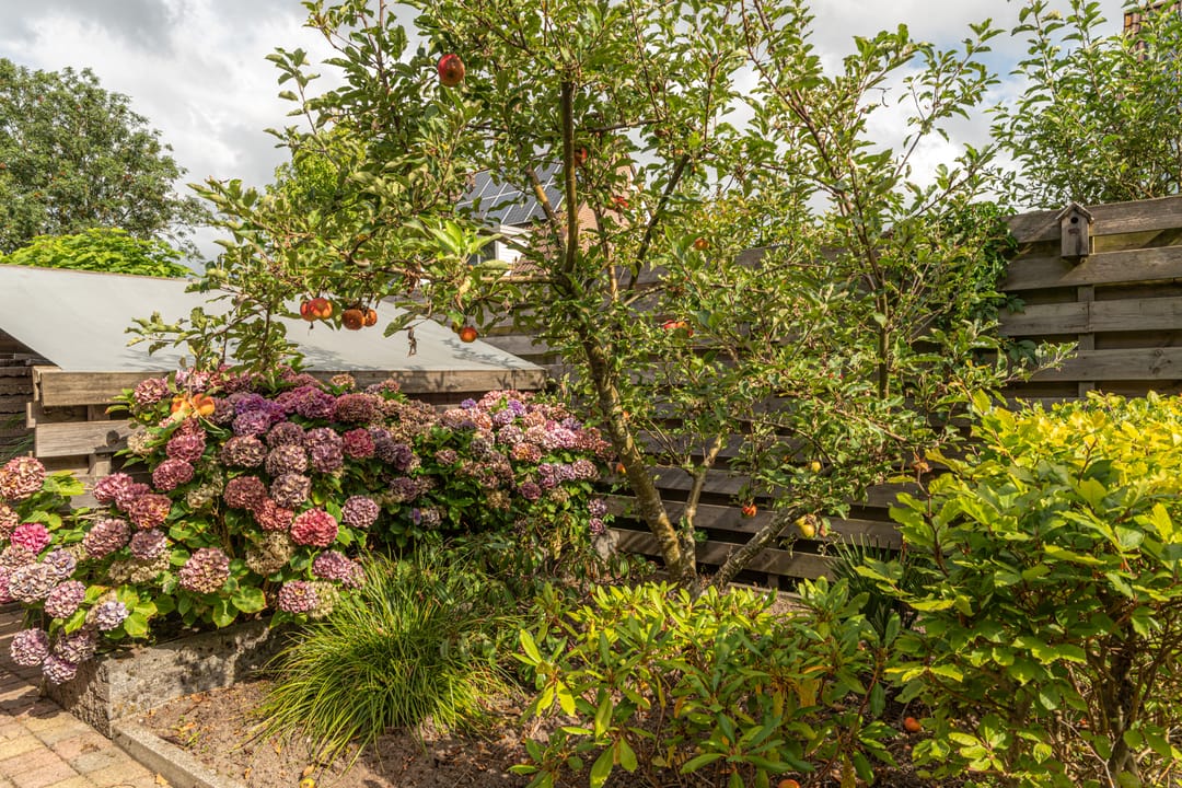 Foto 37 van Fokkestaach 14