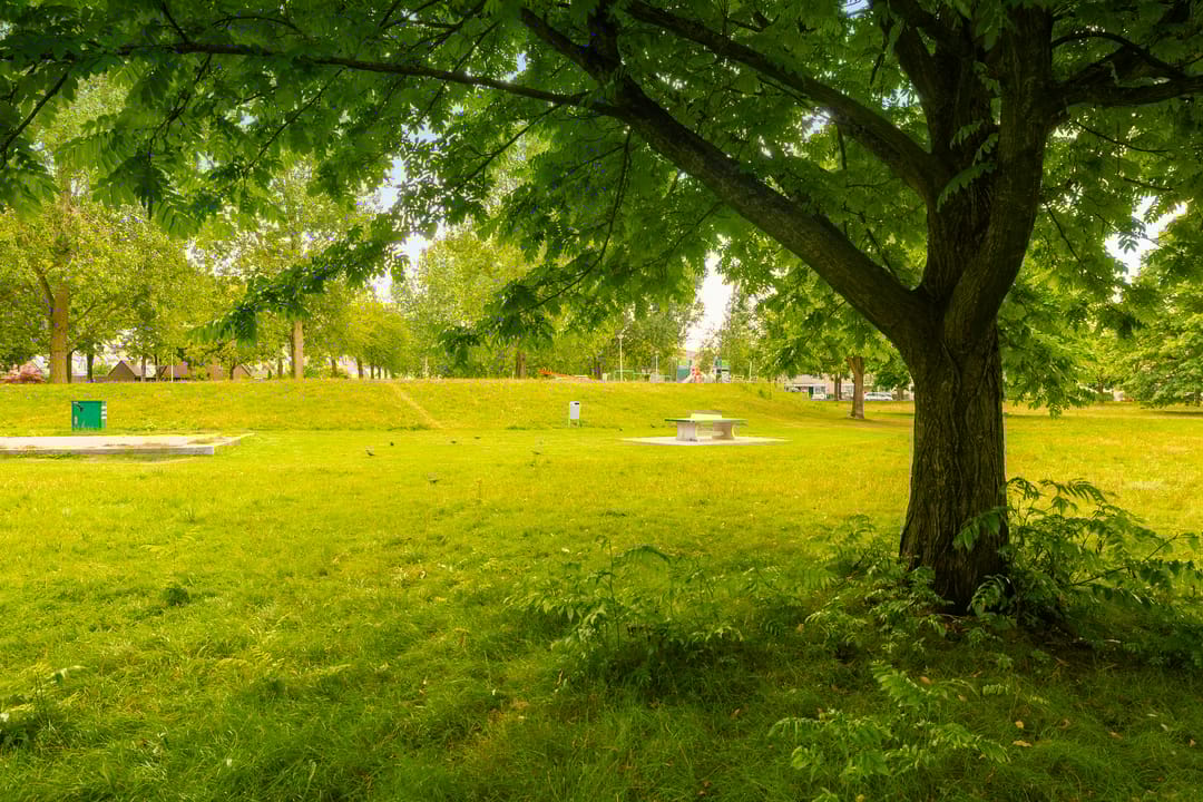 Foto 31 van Govert Flinkstraat 11