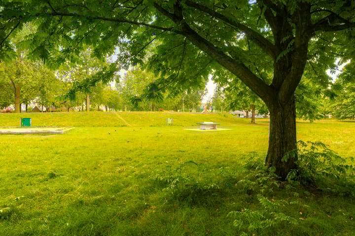 Foto 31 van Govert Flinkstraat 11