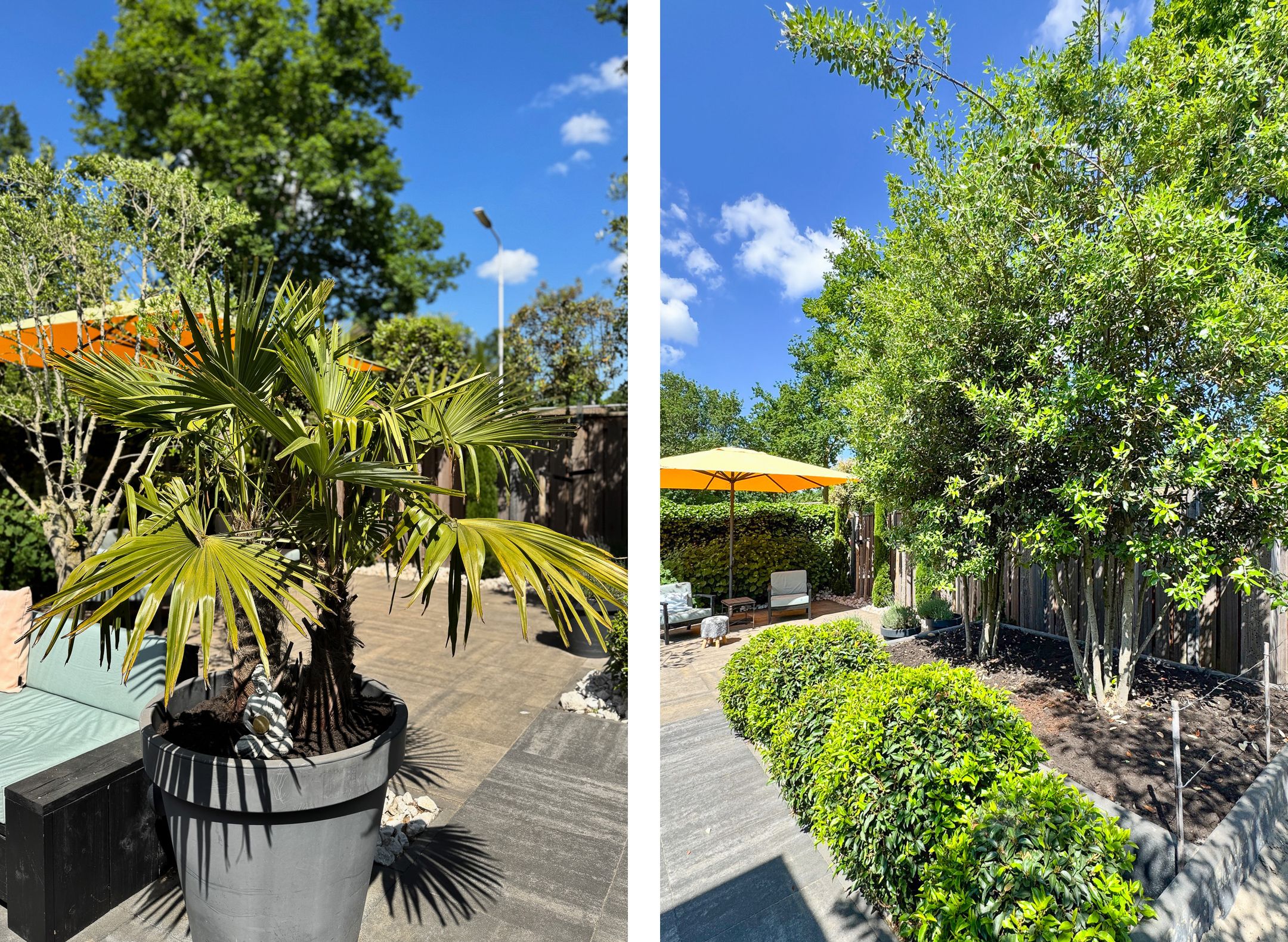 Foto 45 van Brinkdreef 3