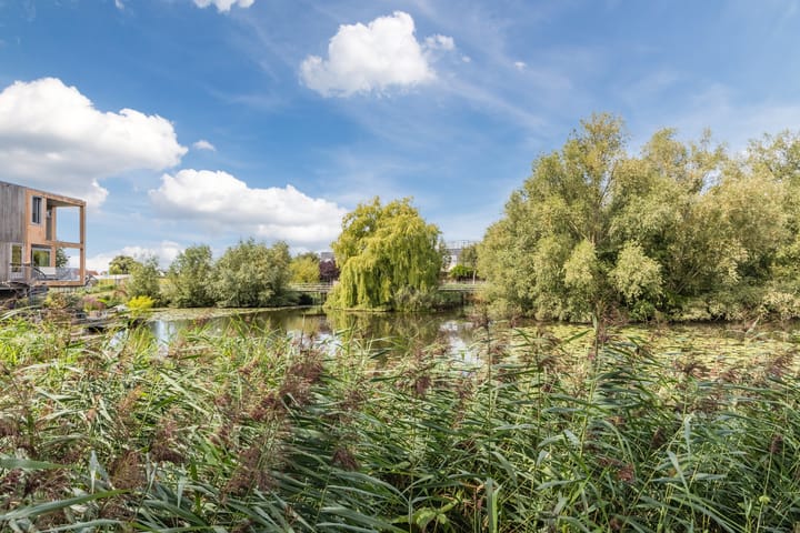 Foto 17 van Dinarpromenade 12