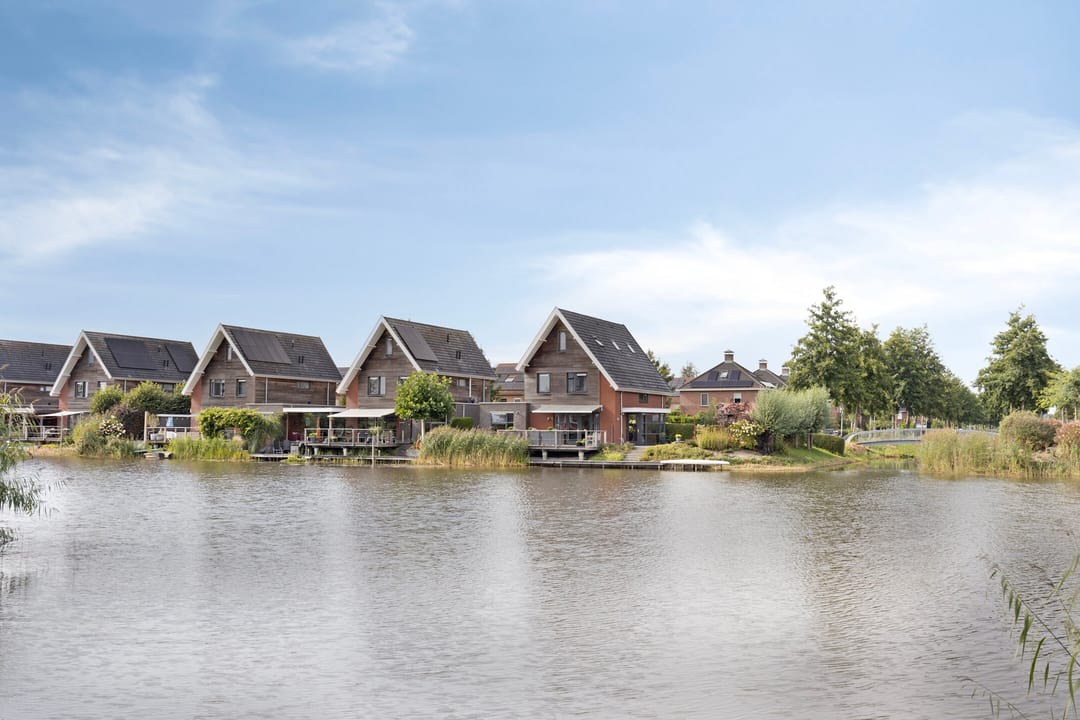 Foto 1 van Lisdodde 1