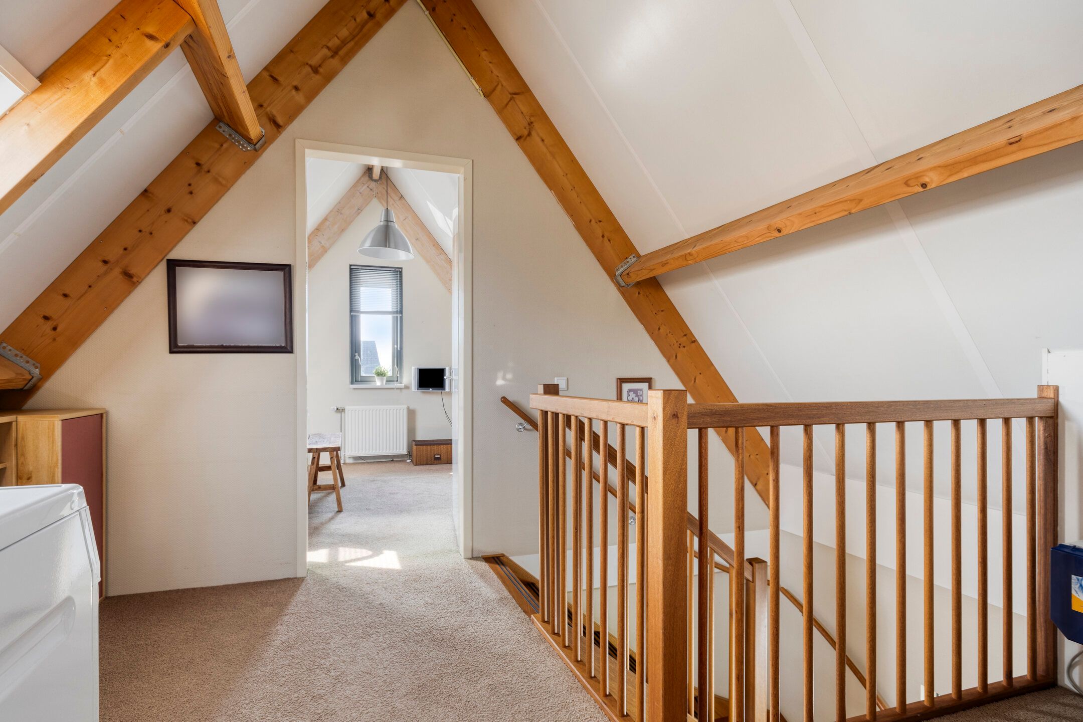 Foto 30 van Lisdodde 1