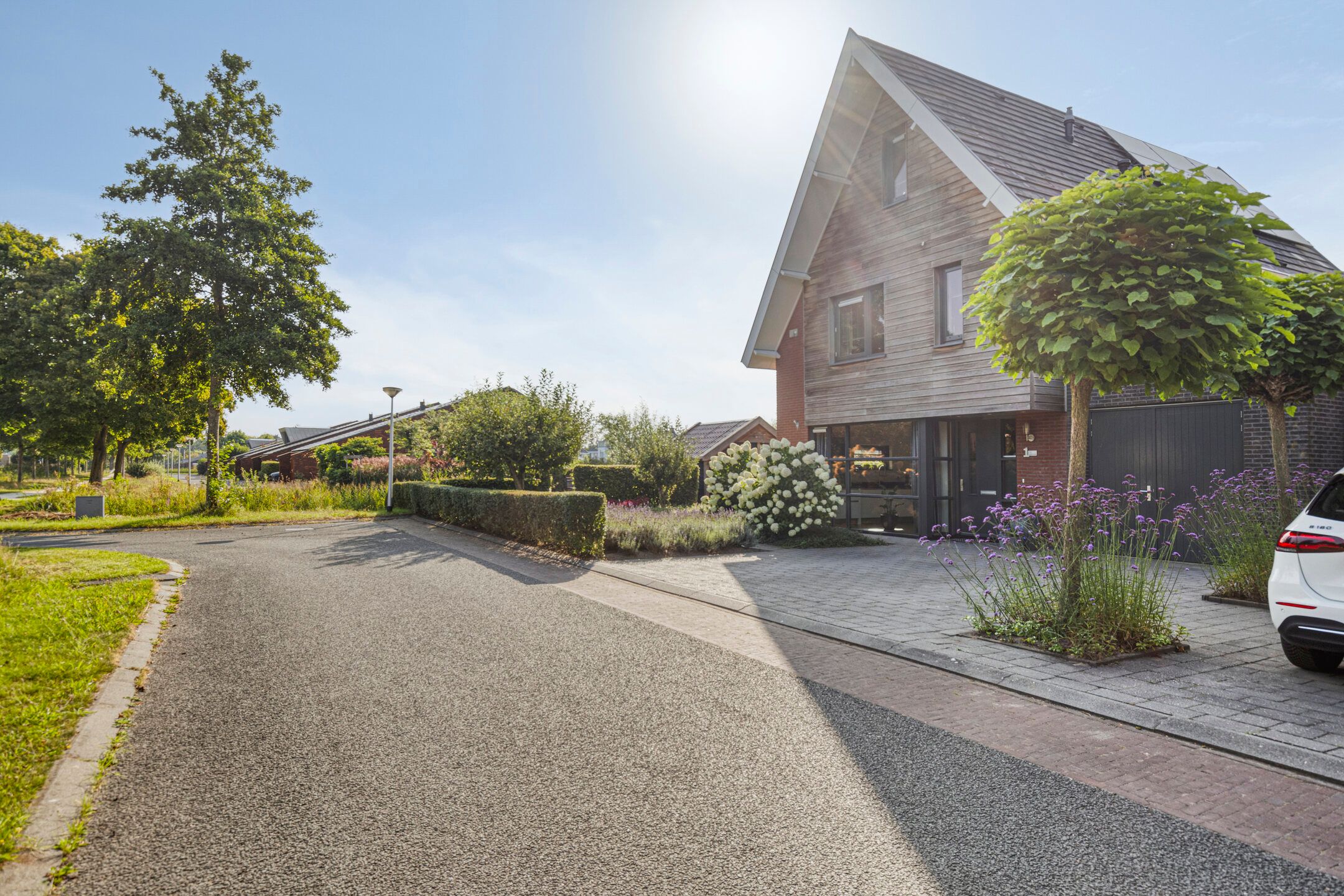 Foto 42 van Lisdodde 1