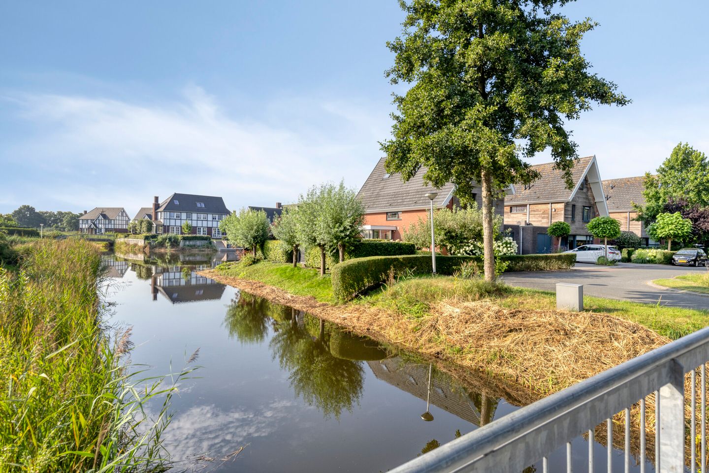 Foto 44 van Lisdodde 1