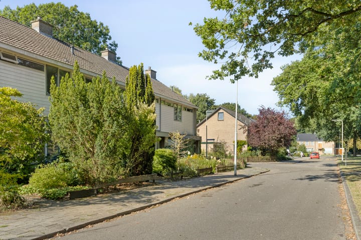 Photo 2 of Boerhaavelaan 78