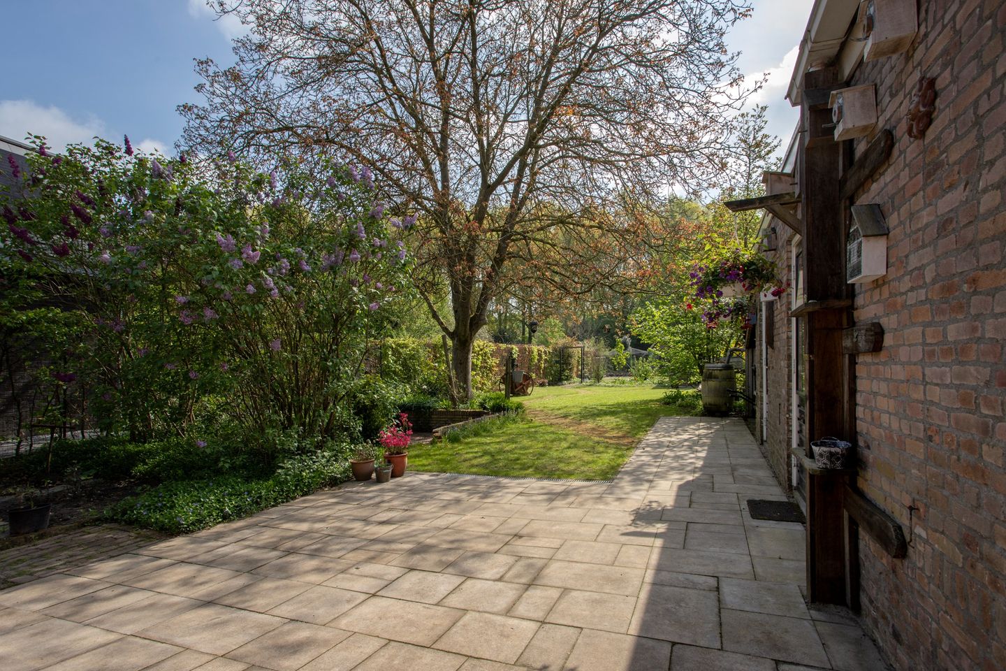 Foto 34 van Smitseind 23