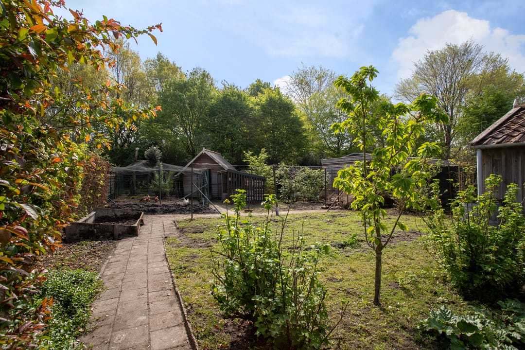 Foto 38 van Smitseind 23