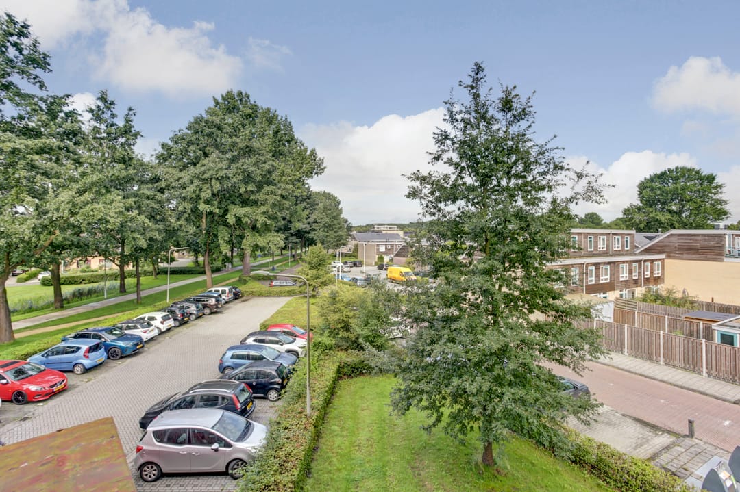 Photo 22 of De Stag 96