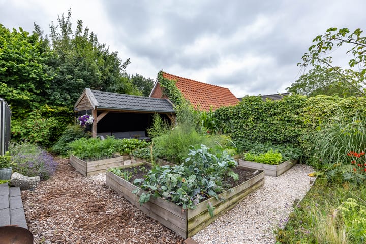 Foto 55 van Heiligelaan 84